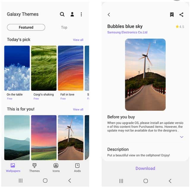 how to apply themes in samsung